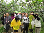 1010429-家長會石門山賞山杜鵑之聯誼活動8