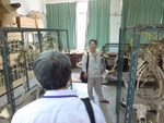 林高塚委員及夏良宙委員視察骨標本室