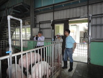 林高塚委員及夏良宙委員視察肉豬舍