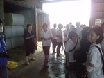 20140512莊瑤芳老師安排酪農場校外參訪15