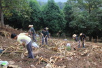 1031107四角林林場肖楠定植實習15