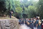 疏伐介紹