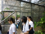 溫室參觀