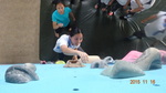 1041026-觀務導覽協同教學抱石攀岩12