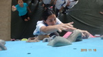 1041026-觀務導覽協同教學抱石攀岩14