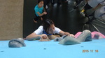 1041026-觀務導覽協同教學抱石攀岩2