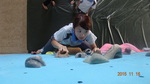 1041026-觀務導覽協同教學抱石攀岩15