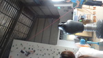 1041026-觀務導覽協同教學抱石攀岩10