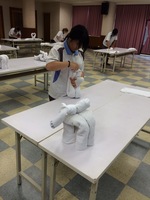 1050525-合作教育毛巾摺疊大賽14