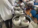 佛跳牆準備入蒸
