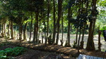 1071024參訪善美真幼兒園10