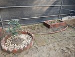 技藝競賽訓練花絮2