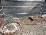 技藝競賽訓練花絮3