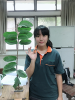 農經二甲乙農園場實習13