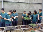 107-1農一乙A組植物栽培實習8