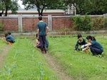 107-1農一乙A組植物栽培實習4