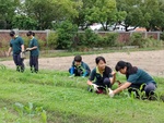 107-1農一乙A組植物栽培實習5