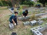 107-1農一乙A組植物栽培實習9