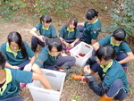 107-1農一乙A組植物栽培實習11