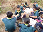 107-1農一乙A組植物栽培實習13
