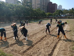 107-2農一乙B組植物栽培實習1