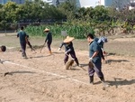 107-2農一乙B組植物栽培實習3