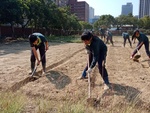 107-2農一乙B組植物栽培實習10