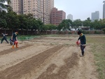 107-2農一乙B組植物栽培實習8