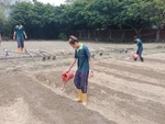 107-2農一乙B組植物栽培實習14
