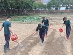 107-2農一乙B組植物栽培實習5