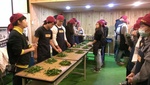 106優質化茶二指參訪5
