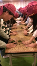 106優質化茶二指參訪9