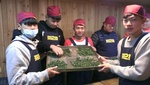106優質化茶二指參訪9