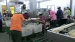 105農委會農家體驗5
