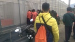 107埔里福興農場見習