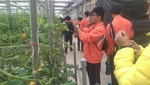 107埔里福興農場見習