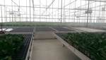 107埔里福興農場見習