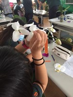 106芳蘭園育種實習