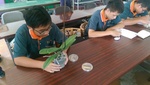104農二甲乙興農芳蘭園育種實習