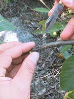 106產學輔導教學--草質練習