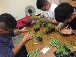 106產學輔導教學--草質練習