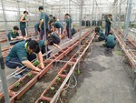 107學年度設施小胡瓜3