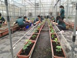 107學年度設施小胡瓜8