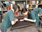 107學年度設施甜瓜3