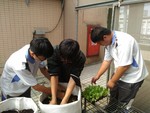 108-1彈性學習課程B-蔬果無土介質栽培2