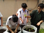 108-1彈性學習課程B-蔬果無土介質栽培3
