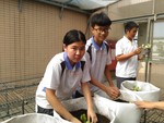 108-1彈性學習課程B-蔬果無土介質栽培6