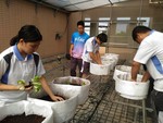 108-1彈性學習課程B-蔬果無土介質栽培7