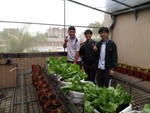 108-1彈性學習課程B-蔬果無土介質栽培12
