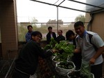 108-1彈性學習課程B-蔬果無土介質栽培2